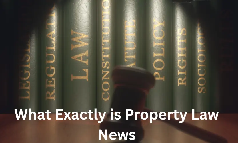 what exactly is property law news